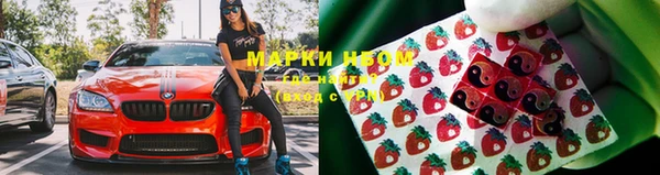 шишки Верхний Тагил