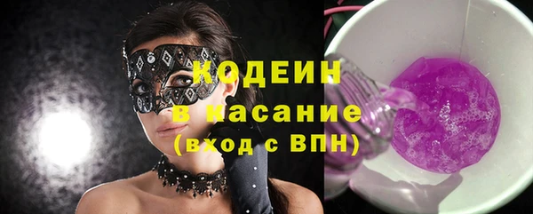 шишки Верхний Тагил