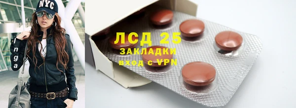 шишки Верхний Тагил