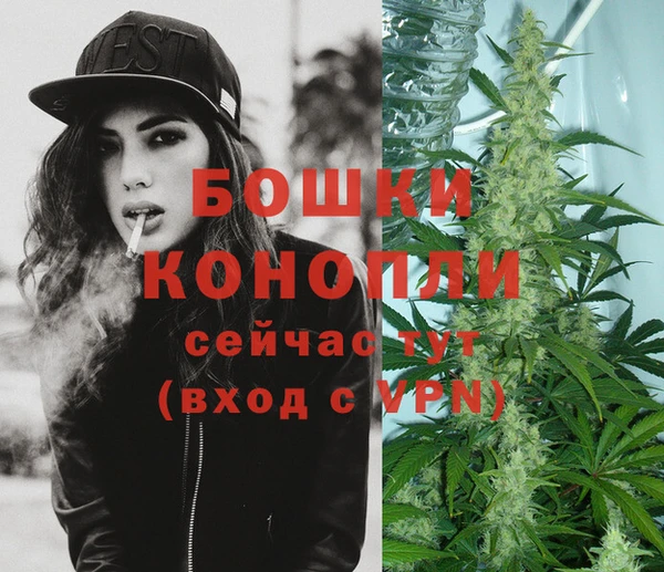 шишки Верхний Тагил