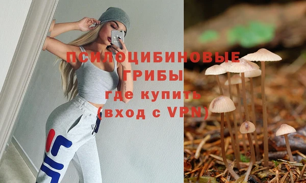 шишки Верхний Тагил