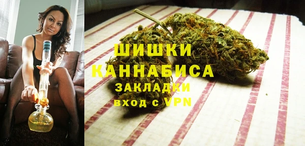 шишки Верхний Тагил