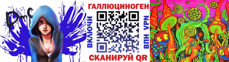 наркота  Карачаевск  Галлюциногенные грибы Psilocybine cubensis 