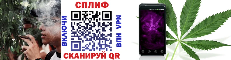 где найти наркотики  Карачаевск  Каннабис марихуана 
